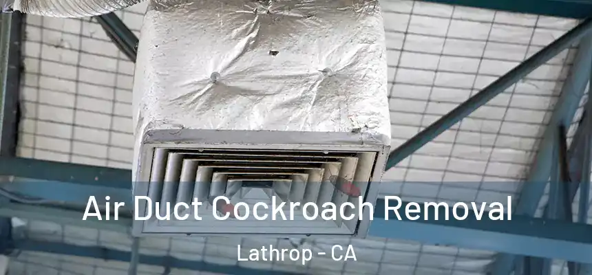  Air Duct Cockroach Removal Lathrop - CA