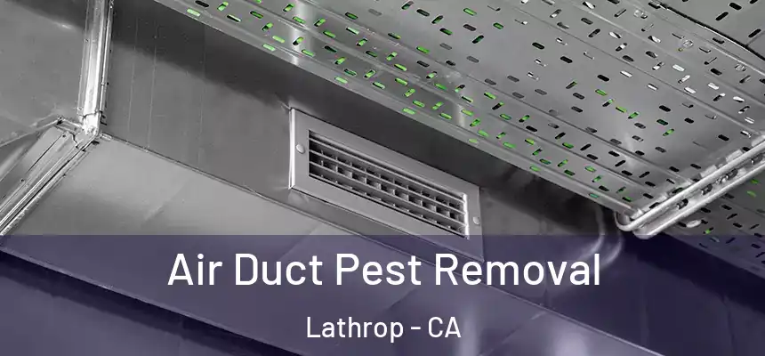  Air Duct Pest Removal Lathrop - CA