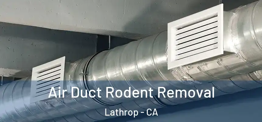  Air Duct Rodent Removal Lathrop - CA