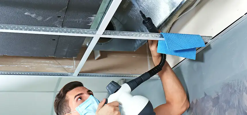 Our Air Duct Rodent Removal Services in Lathrop, CA