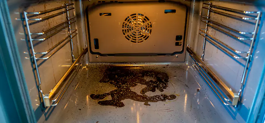 Our Dryer Vent Mold Cleaning Services in Lathrop, CA