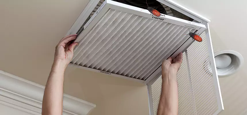 Our Insect Removal from Air Ducts Services in Lathrop, CA