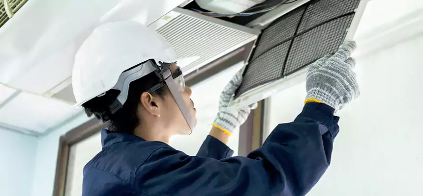 Our Mold & Mildew Removal from Air Ducts Services in Lathrop, CA