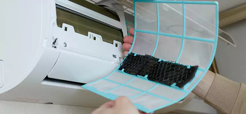 Gentle Ductwork Odor-Control Pet Dander Duct Cleaning in Lathrop, CA