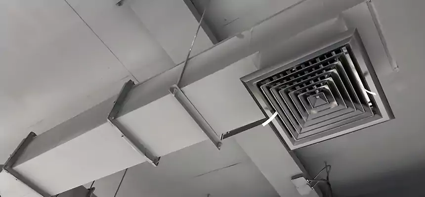 Our Rodent Droppings In Vents Services in Lathrop, CA