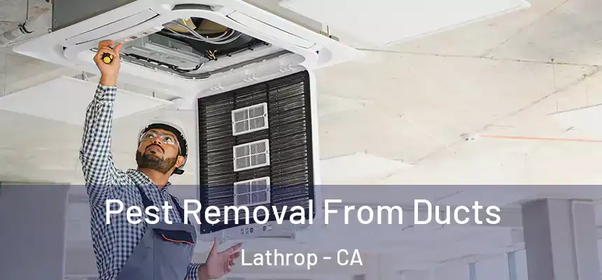 Pest Removal From Ducts Lathrop - CA