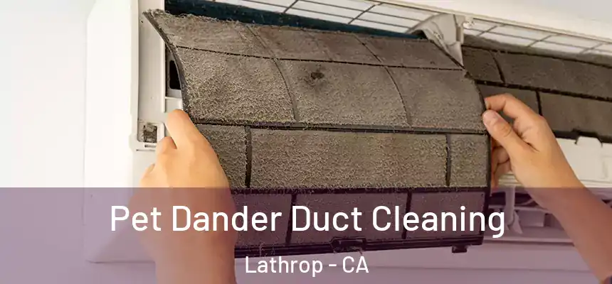  Pet Dander Duct Cleaning Lathrop - CA