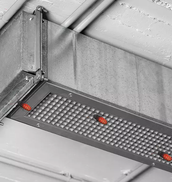 About Air Duct Cockroach Removal in Lathrop, CA