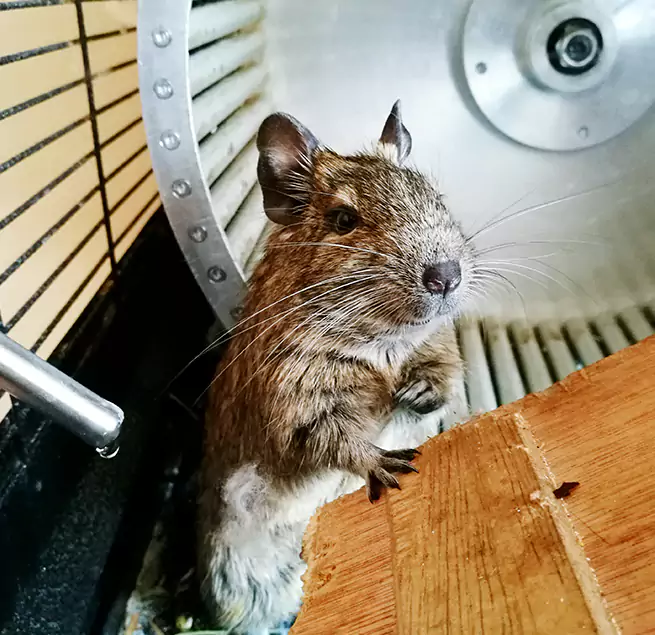 Why Homeowners & Businesses Trust Us Lathrop, CA