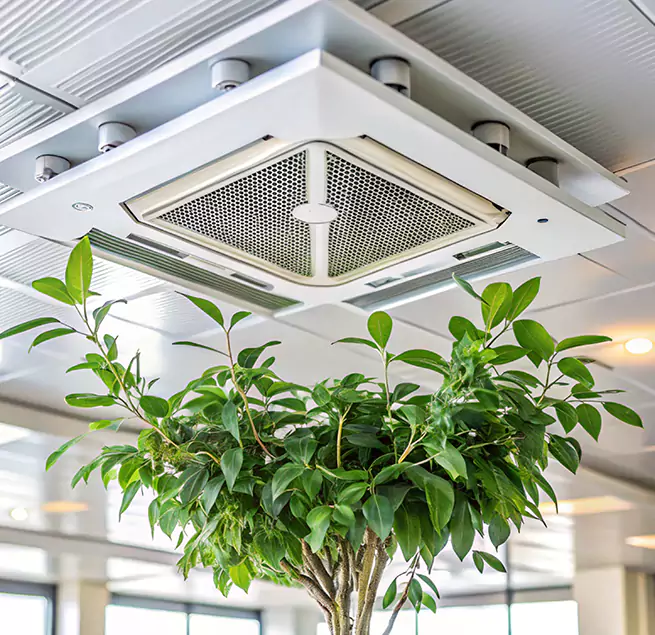 Why Homeowners & Businesses Trust Us in Lathrop, CA?